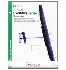 AMALDI VERDE 1 ED. MISTA
