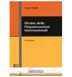 DIRITTO DELLE ORGANIZZAZIONI INTERNAZIONALI