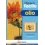 DIPINGERE FACILE - OLIO