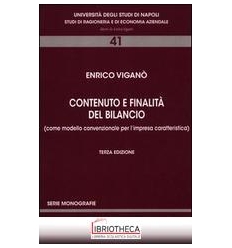 VIGANO CONTENUTO FINALITA BILANCIO 3ED.