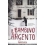 IL BAMBINO ARGENTO