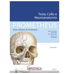 Prometheus - Testa, Collo e Neuroanatomi