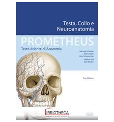 PROMETHEUS. TESTA, COLLO E NEUROANATOMIA