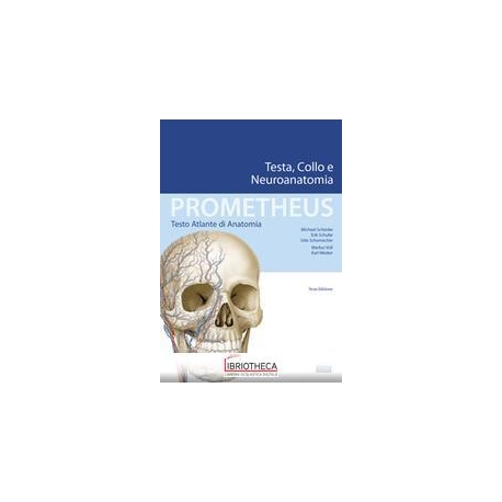 PROMETHEUS. TESTA, COLLO E NEUROANATOMIA