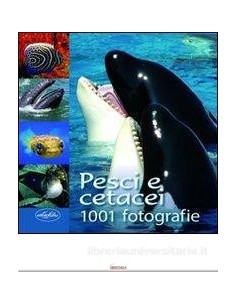9788862620932