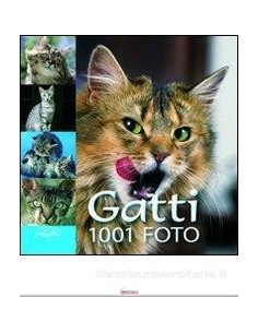 9788862620871