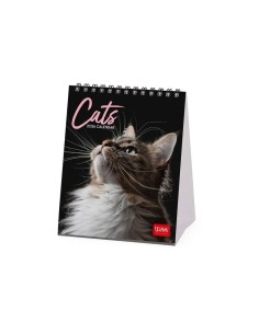8052694034450 CALENDARIO DA TAVOLO - CATS 2026
