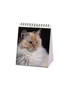 8052694034450 CALENDARIO DA TAVOLO - CATS 2026 2