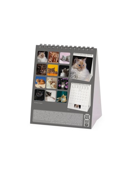 8052694034450 CALENDARIO DA TAVOLO - CATS 2026