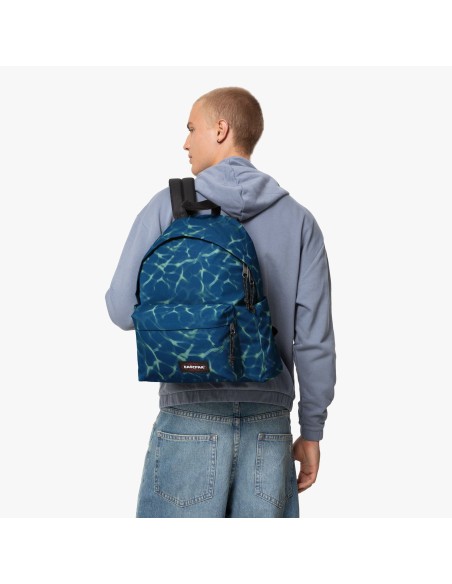 1960119886560 1960119886560