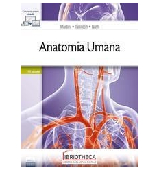 ANATOMIA UMANA