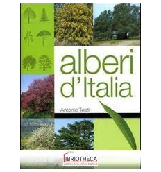 ALBERI D'ITALIA