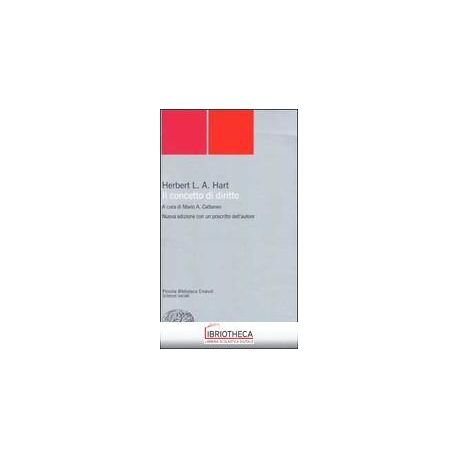 CONCETTO DI DIRITTO,PBENS