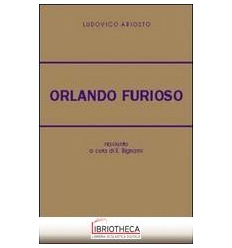 ORLANDO FURIOSO. RIASSUNTO