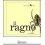 IL RAGNO