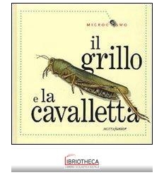 IL GRILLO E LA CAVALLETTA