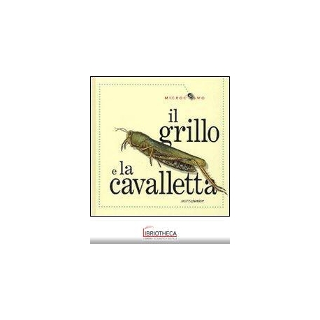 IL GRILLO E LA CAVALLETTA