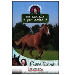 UN NUOVO CAVALLO