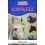 BAMBINI CURIOSI - CAVALLI