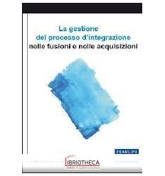 GESTIONE DEL PROCESSO D'INTEGRAZIONE NELLE SUE FUSIO