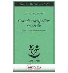 GRANDE TRAMPOLIERE SMARRITO