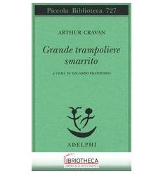 GRANDE TRAMPOLIERE SMARRITO