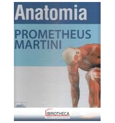 Cofanetto Anatomia: Prometheus