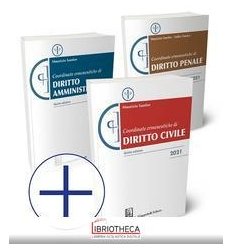 COORDINATE ERMENEUTICHE 2021. CIVILE, PENALE, AMMINI