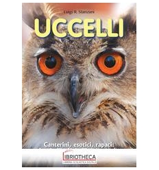 UCCELLI. CANTERINI ESOTICI RAPACI: I VOLATILI PIÙ BE