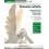 ITINERARIO NELL'ARTE VERSIONE VERDE 3 ED. MISTA
