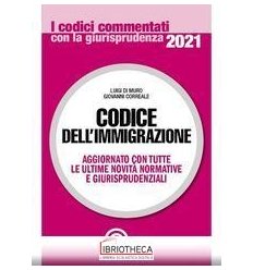 Codice dell'immigrazione