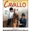 IL GRANDE LIBRO DEL CAVALLO