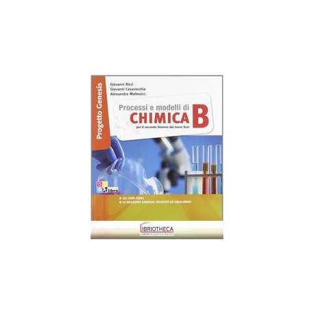 PROCESSI E MODELLI DI CHIMICA PROGETTO GENESIS B