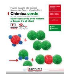 CHIMICA VERDE 1 ED. MISTA