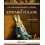 LO STRAORDINARIO VIAGGIO DI EDWARD TULANE