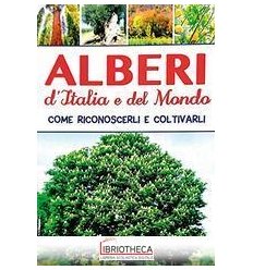 ALBERI D'ITALIA E DEL MONDO. TRENDY LEGG