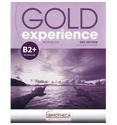 GOLD EXPERIENCE B2+