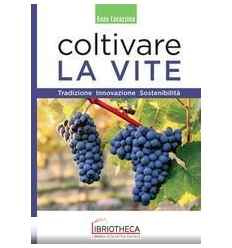 COLTIVARE LA VITE. TRADIZIONE INNOVAZIONE SOSTENIBIL