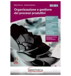 ORGANIZZAZIONE E GESTIONE DEI PROCESSI PRODUTTIVI ED. MISTA