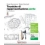TECNICHE DI RAPPRESENTAZIONE ED. VERDE N.E. ED. MISTA