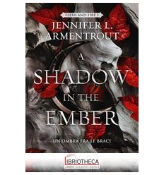 A SHADOW IN THE BEMBER