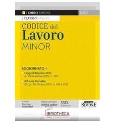 CODICE DEL LAVORO MINOR