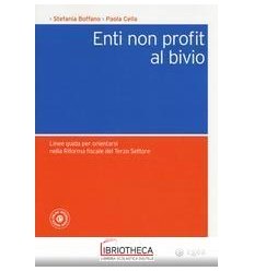 ENTI NON PROFIT AL BIVIO