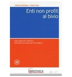 ENTI NON PROFIT AL BIVIO. LINEE GUIDA PER ORIENTARSI