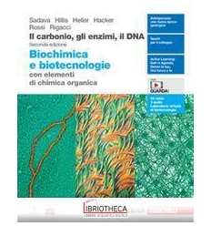 CARBONIO GLI ENZIMI IL DNA N.E. ED. MISTA